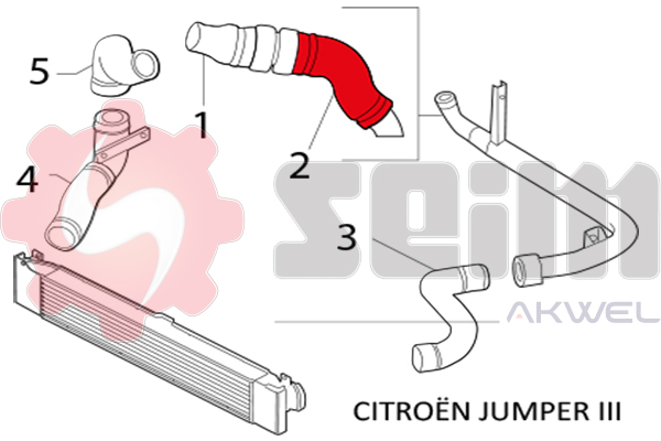 Durites turbo 981163