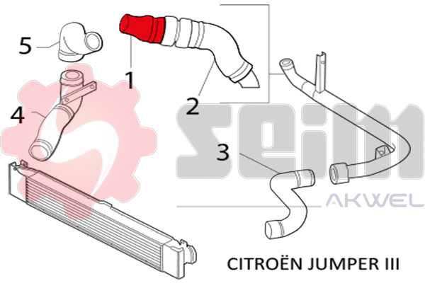 Durites turbo 981164