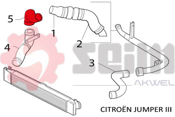 Durites turbo 981166