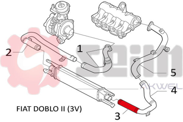 Durites turbo 981203