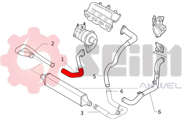 Durites turbo 981775