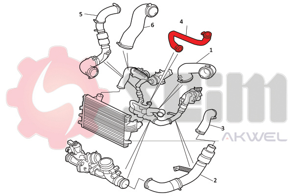 Durites turbo 981819