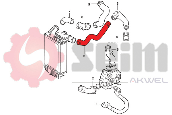 Durites turbo 981901