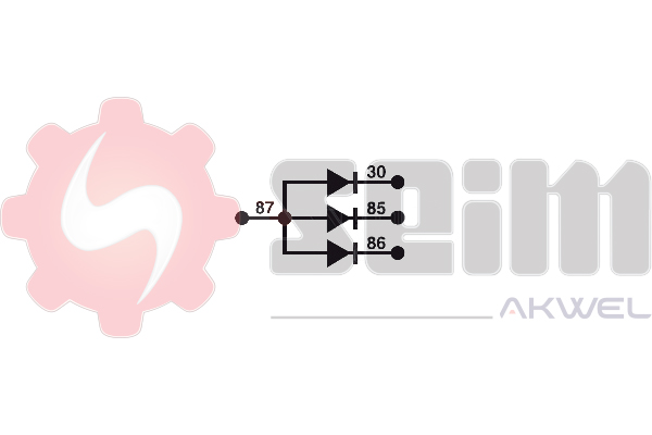 Diodes 030912